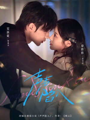 声声陷入（73集）精彩短剧抢先看