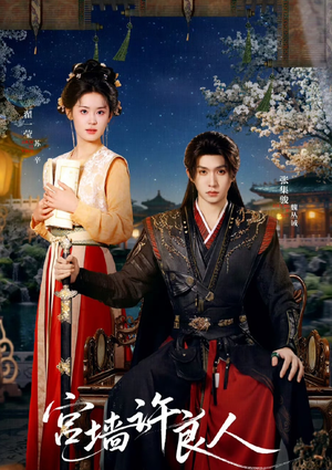 宫墙许良人(67集) 宫墙许良人(67集)短剧演员排行榜