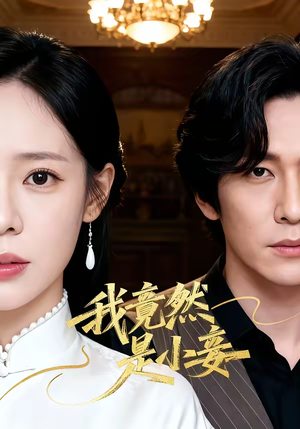 我竟然是小妾（47集）短剧有好货推荐