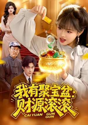 我有聚宝盆：财源滚滚（101集）免费短剧看全集