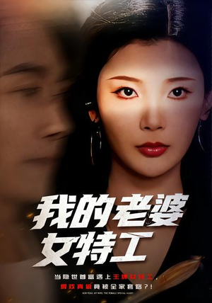 我的老婆女特工（62集）短剧演员排行榜