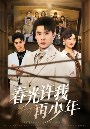 春光许我再少年（79集）热播短剧追不停