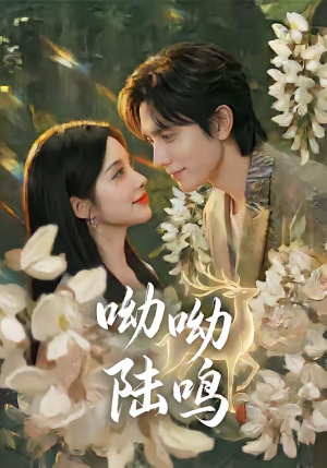 呦呦陆鸣（67集）爆款短剧抢先看