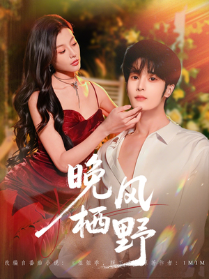 晚风栖野（80集）热门短剧推荐