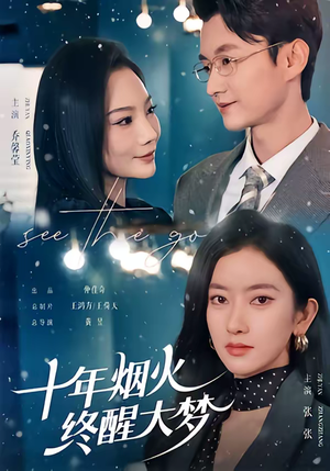 十年烟火，终醒大梦（60集）短剧太好看了吧