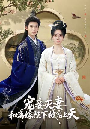 宠妾灭妻，和离嫁陛下被宠上天（88集）男主角是谁