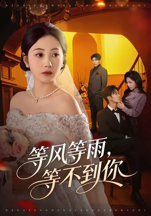 等风等雨，等不到你（65集）爆火短剧抢先看