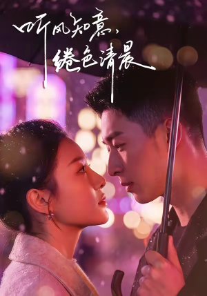 听风知意，绻色清晨（69集）短剧更新抢先看