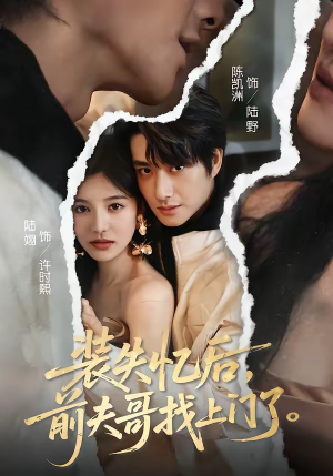 装失忆后，前夫哥找上门了（60集）精彩短剧片段