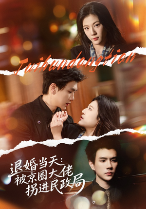 退婚当天：被京圈大佬拐进民政局（80集）UC网盘在线看