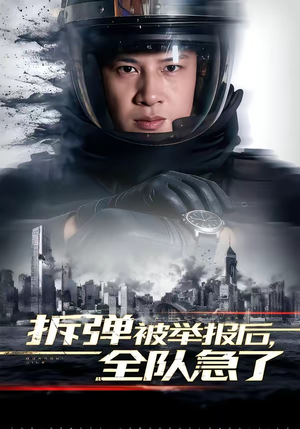 拆弹被举报后,全队急了(50集) 拆弹被举报后,全队急了(50集)免费短剧大全