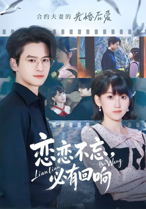 恋恋不忘，必有回响（80集）夸克网盘观看