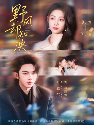 野风却知泱（80集）短剧看全集