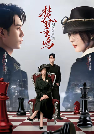 焚羽重鸣（60集）火爆短剧抢先看