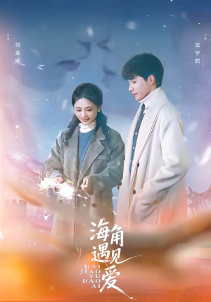 海角遇见爱（40集）怎么看全集