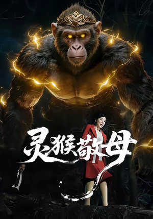 灵猴敬母（50集）海量资源免费看