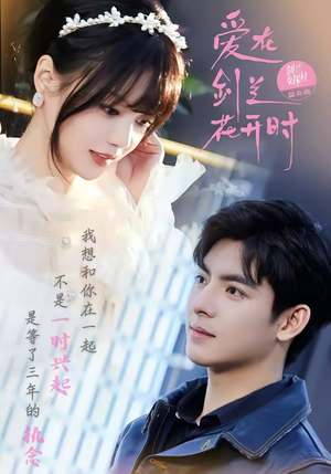 爱在剑兰花开时（56集）大结局完美收官