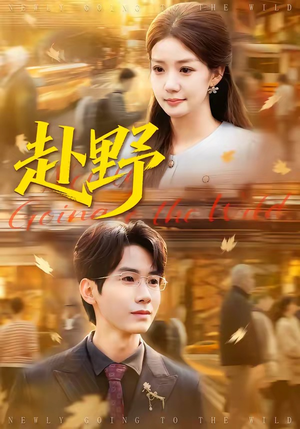 赴野（40集）短剧追不停