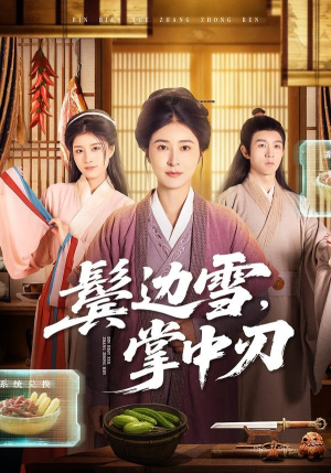 鬓边雪，掌中刃（60集）评价怎么样