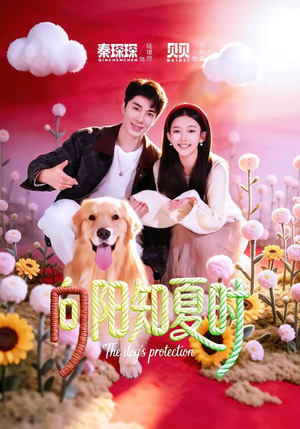 向阳知夏时（80集）免费看全集