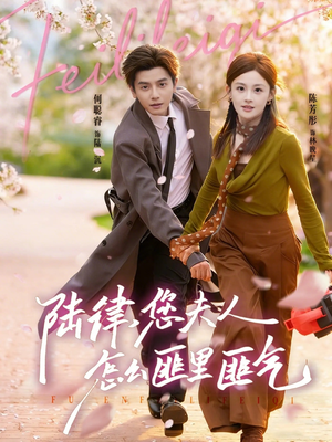 陆律，您夫人怎么匪里匪气（60集）一共多少集