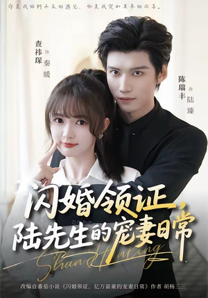 闪婚领证，陆先生的宠妻日常（86集）短剧介绍