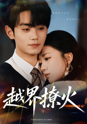 越界撩火（64集）热门短剧推荐