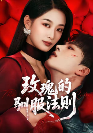 玫瑰的驯服法则（65集）甜宠短剧推荐