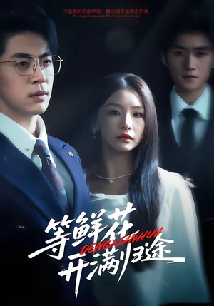 等鲜花开满归途（61集）剧情简介