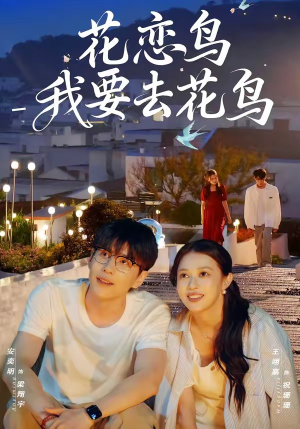 花恋鸟我要去花鸟（60集）好看的短剧