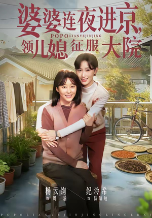 婆婆连夜进京，领儿媳征服大院（78集）在哪看免费