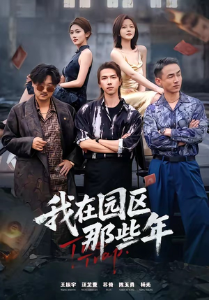 我在园区那些年（61集）精彩的网络短剧