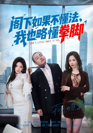 阁下如果不懂法，我也略懂拳脚（77集）短剧解说全集