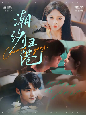 潮汐归港（66集）短剧上热门