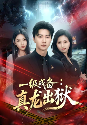 一级戒备：真龙出狱（73集）番茄免费短剧