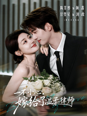 一不小心，嫁给了温柔律师（65集）一共多少集