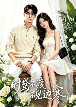 时鸢不渡砚边寒（41集）短剧热播中