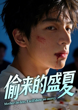 偷来的盛夏（40集）短剧在线看