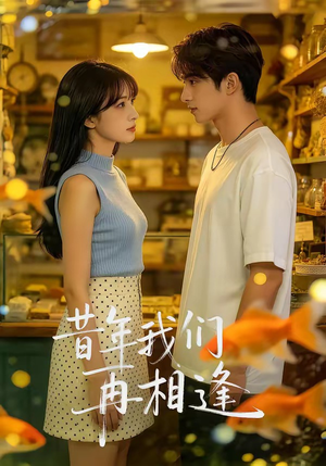 昔年我们再相逢（40集）精彩短剧看全集