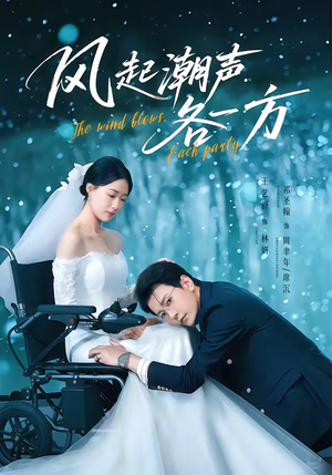 风起潮声各一方（84集）在哪看