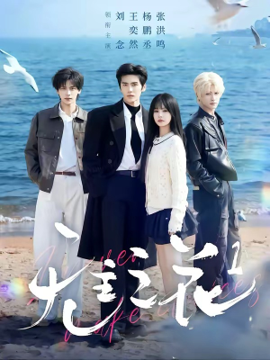 无主之花1（72集）在哪个app能看