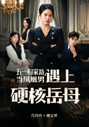 五一归家路，当凤凰男遇上硬核岳母（60集）在哪里可以看