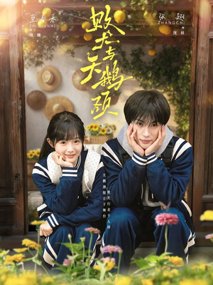 败犬与天鹅颈（71集）短剧全集免费