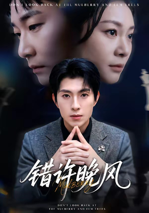 错许晚风（60集）热门短剧分享