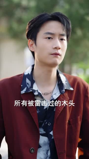 透视，我的林场遍地黄金（85集）360网盘观看