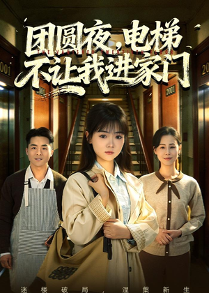 团圆夜，电梯不让我进家门（52集）爆款短剧一起追
