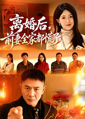 离婚后，前妻全家都慌了（52集）观看软件