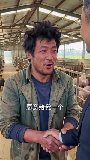 净身出户后，我靠荒山成猪王（50集）最火短剧热播