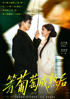 等葡萄成熟后（82集）免费观看
