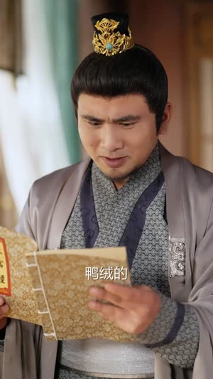 极品皇太子（81集）追短剧看全集